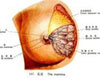 乳腺癌症状