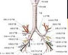 支气管哮喘常识