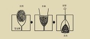 艾炷器制作艾炷