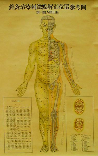 针灸治疗刺激点解剖位置参考图 
