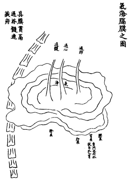 《循经考穴编》传本存真图 