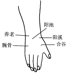 图17-8腕关节损伤取穴图