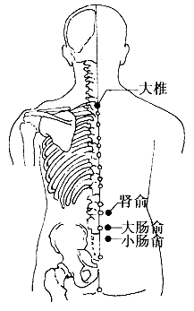 图2-13-1