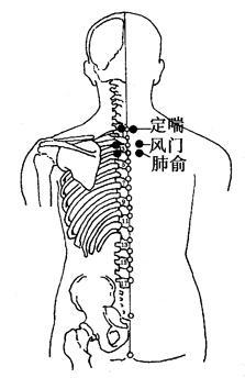 图2-3-1定喘、风门、肺俞