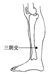 图2-6-4三阴交