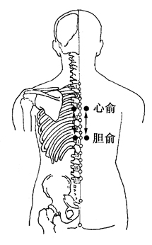 图2-7-1心俞至胆俞