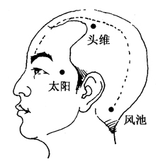 图2-9-1头维、太阳、风池