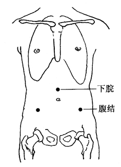 图2-14-2下脘、腹结