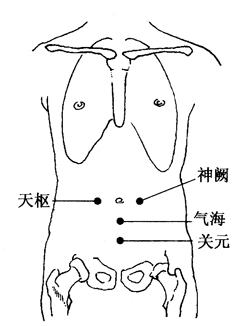 图2-18-1神阙、天枢、气海、关元