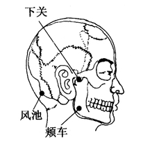 图2-21-1下关、风池、颊车