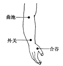 图2-21-2曲池、外关、合谷