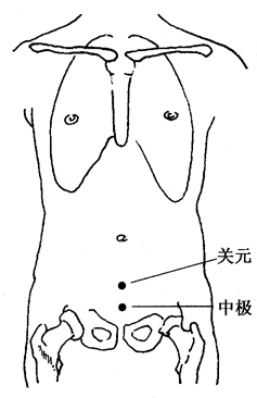 图4-1-2关元、中极