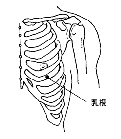 图5-8-2乳根