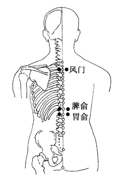 图6-2-1风门、脾俞、胃俞