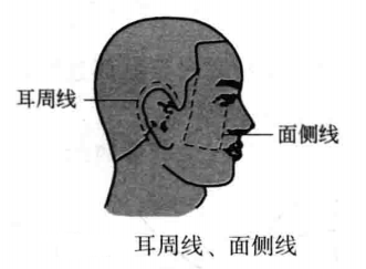 耳周线、面侧线