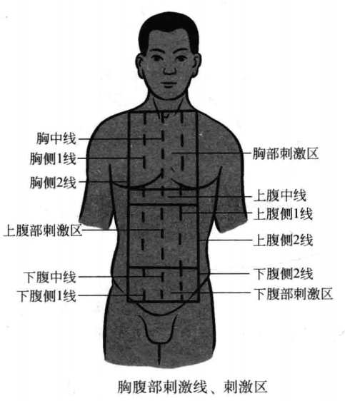 胸部刺激线、刺激区