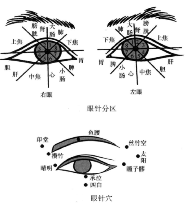 眼针穴位