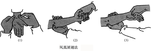 凤凰展翅法